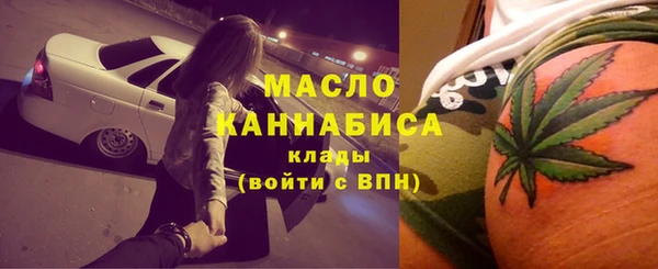молекула духа Михайлов