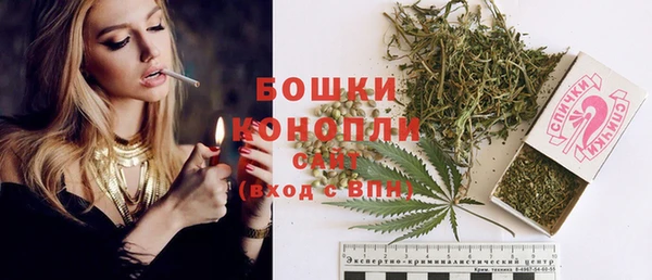 молекула духа Михайлов