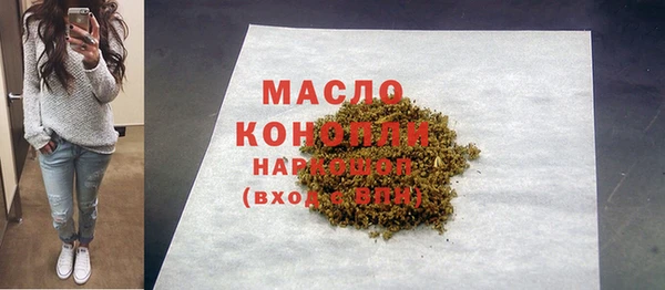 молекула духа Михайлов