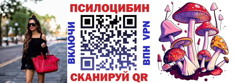 Псилоцибиновые грибы мицелий  Купить где  Макаров 