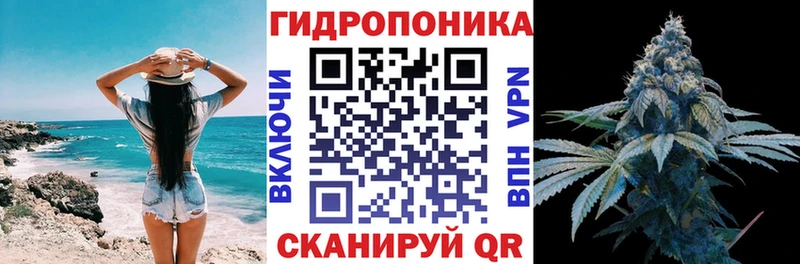 Конопля OG Kush  Купить закладки  Макаров 